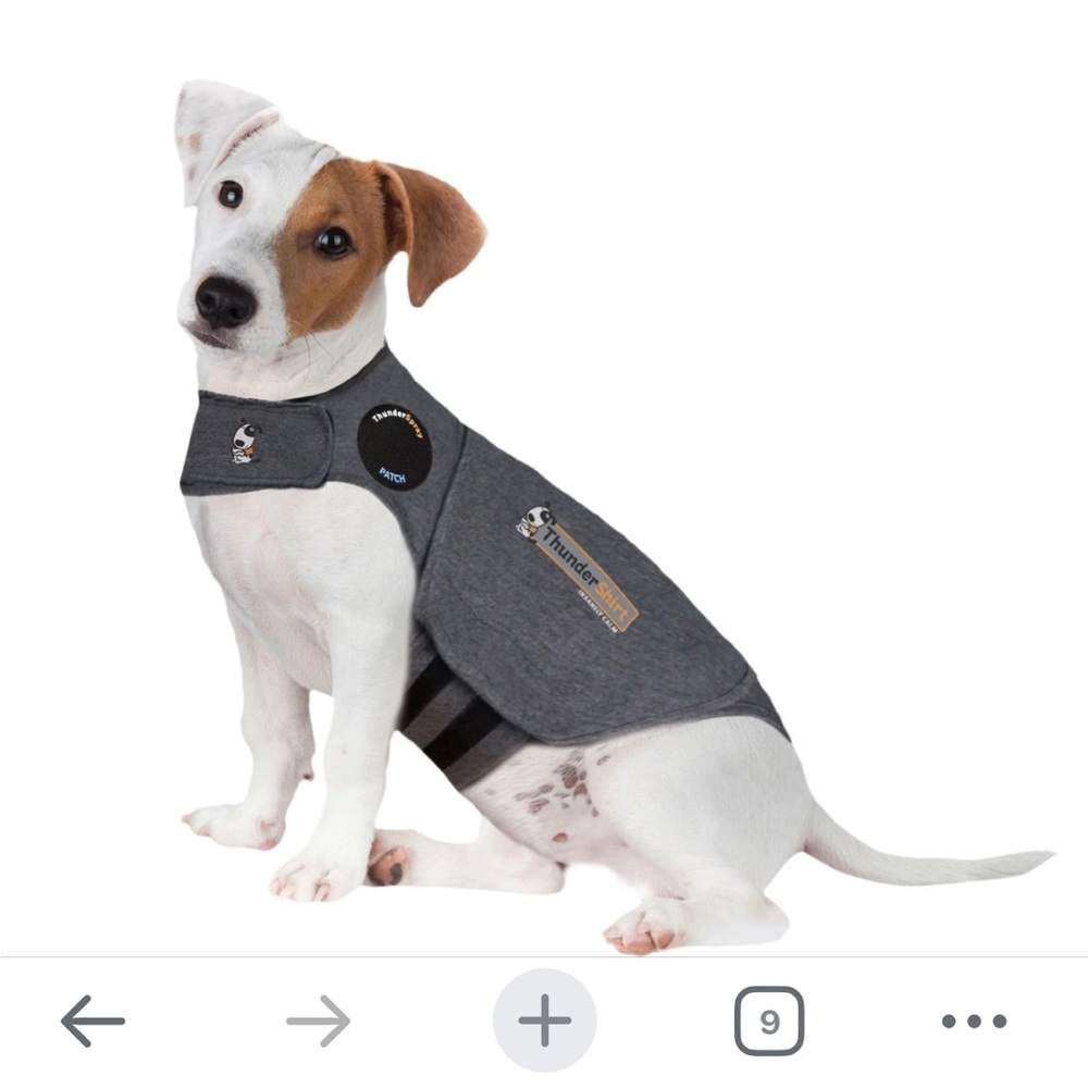 ThunderShirt Small